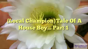 Tale Of A House Boy (Local Champion) Season 1