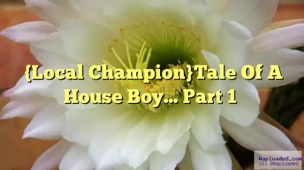 Tale Of A House Boy (Local Champion)