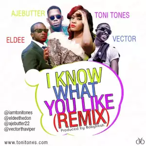 Toni Tones - I Know What You Like (Remix) ft Vector, eLdee & Ajebutter 22