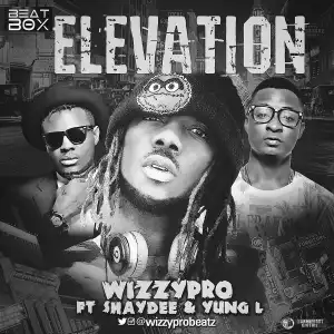 WizzyPro - Elevation Ft. Shaydee & Yung L
