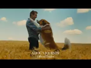 A Dogs Journey (2019) [HDCam-1xBet] (Official Trailer)