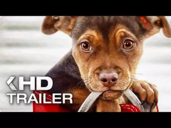 A Dogs Way Home (2019) [HC-HDRip] (Official Trailer)