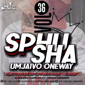 Lebtiion Simnandi – SphushaUmjaivo_OneWay Vol.36 Mix
