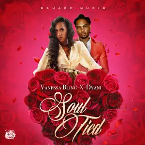 Vanessa Bling & D’Yani – Soul Tied