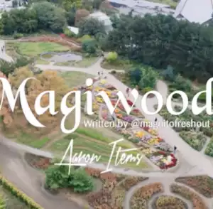 Magnito – Magiwood Ft. Bovi