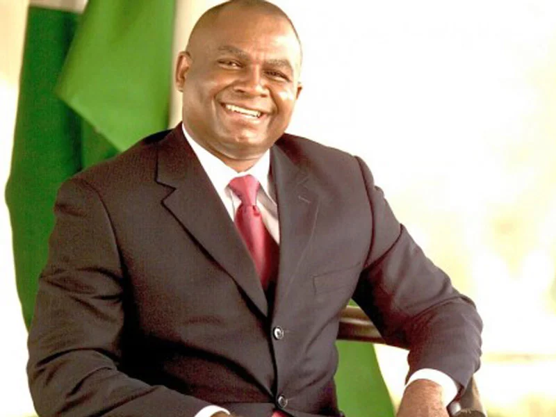 Chimaroke Nnamani: Tinubu Most Successful Governor In Nigeria