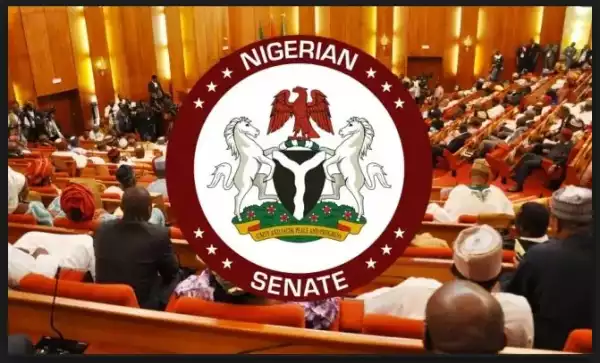 Senate Okays HND As Minimum Qualification For President, Governors