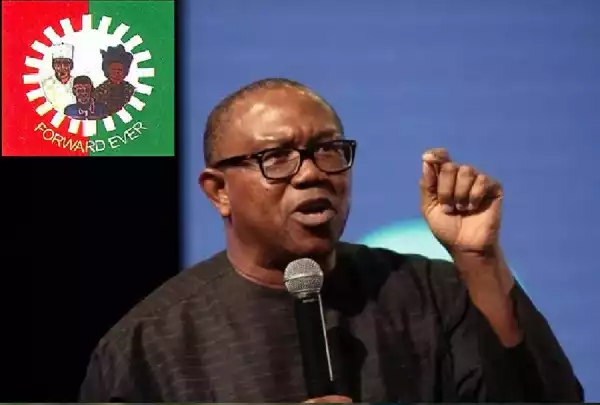 APC Gives Peter Obi Conditions To Fulfil Before Getting Debate With Tinubu
