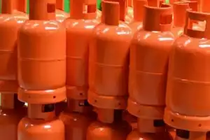 FG Stops Export Of Cooking Gas To Reduce Price