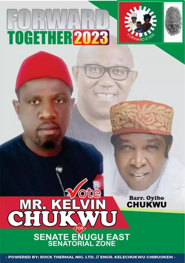 Enugu East Senatorial Seat: Late Oyibo Chukwu