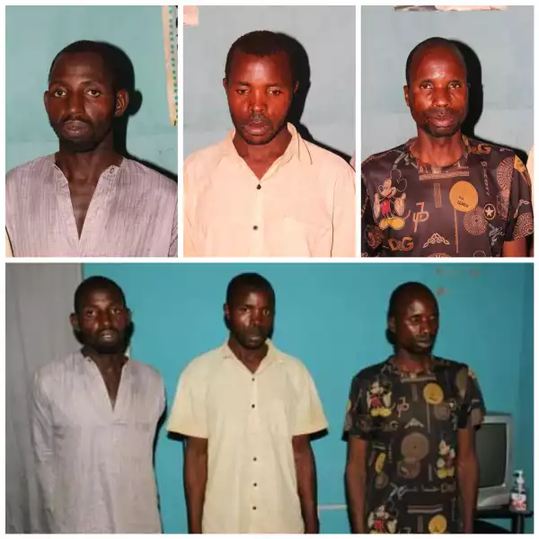 Three men arrested for gang-raping 12-year-old girl in Bauchi