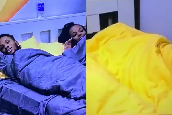 #BBNaija: Watch Brighto And Wathoni Engage In Aggressive KNACKING Under The Duvet In Broad Daylight Again! (Video)