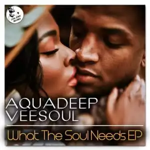 Veesoul, Aquadeep – The Groove (feat Craig)