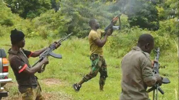 Gunmen Ambush Convoy, Abduct Two Koreans, Kill Four Soldiers, Others In Rivers