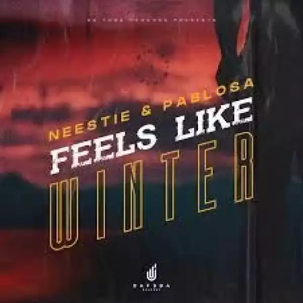 Neestie & PabloSA – Feels Like Winter (Afro Mix)