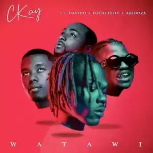 CKay ft. Davido – WATAWI (Instrumental)