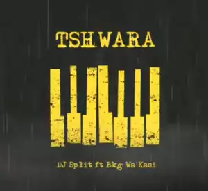 DJ Split – Tshwara Ft. Bkg Wa’Kasi