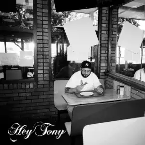Tony Seltzer - Hey Tony (Album)