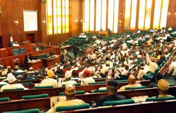 Lawmakers Oppose Bill to Increase Education Qualifications of President, Governors, NASS Members
