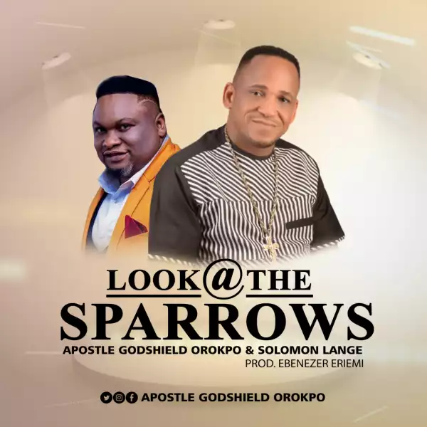 Apostle Godshield Orokpo – Look At the Sparrows Ft. Solomon Lange