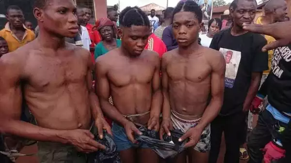 Three young men arrested for alleged homosexual act in Benue