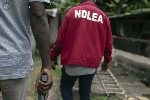 NDLEA Arrests 76-Year-Old Grandpa, Fake Security Agent Over Drug Peddling In Benin