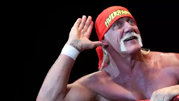 Biography & Net Worth Of Hulk Hogan