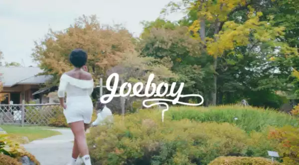 Joeboy – Lonely (Video)