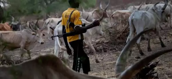Panic As Herdsmen Attack Enugu Communities, Kill Three