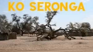 Koolkat Motyiko – Ko Seronga