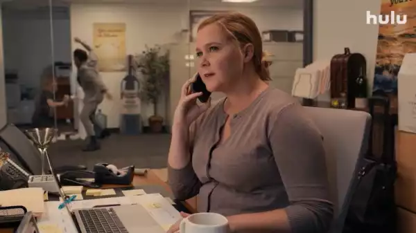 Life & Beth Trailer: Amy Schumer Stars in Hulu