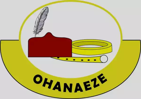 Killings of soldiers in Imo worrisome, says Ohanaeze president