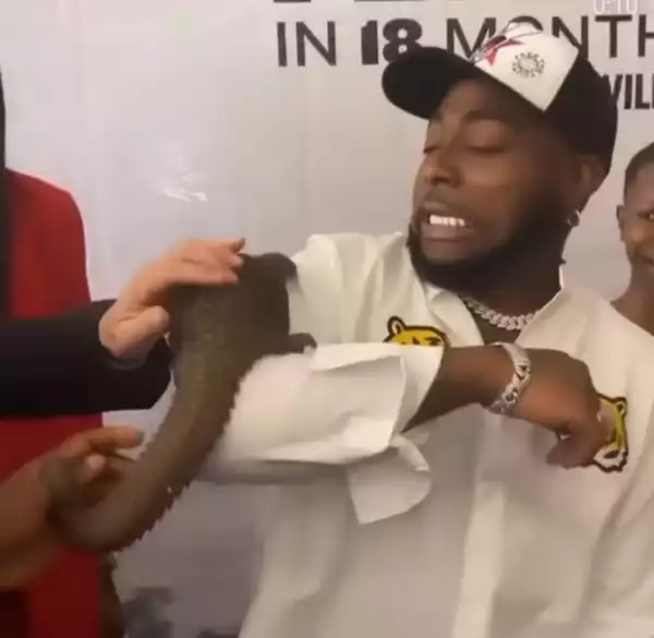 Davido Gets Scared By A Pangolin Placed On His Arm (Photo, Video)