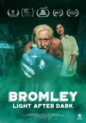 Bromley Light After Dark (2023)