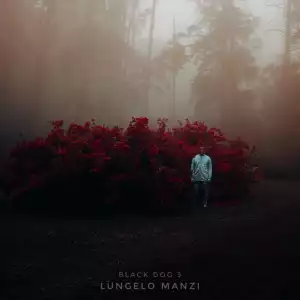 Lungelo Manzi – Closure