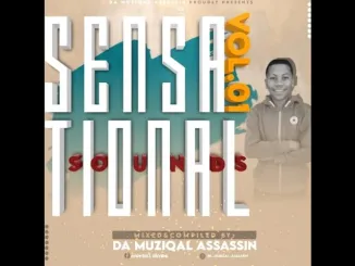 Da MusiQal Assassin – Sensational Sounds Vol.1
