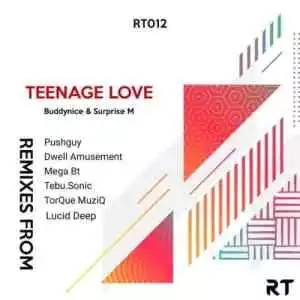 Buddynice, Surprise M – Teenage Love (TorQue MuziQ Afro Tech Mix)