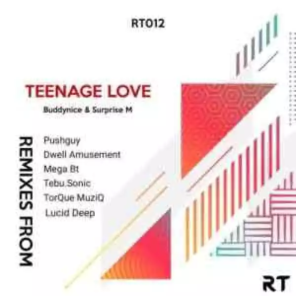 Buddynice, Surprise M – Teenage Love (TorQue MuziQ Afro Tech Mix)