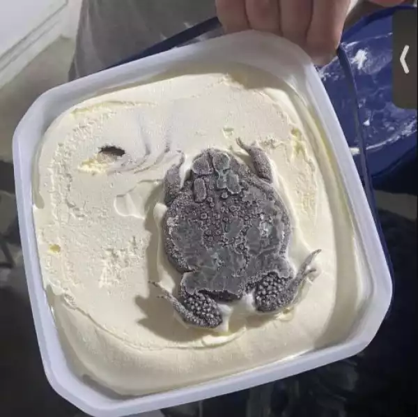 Woman Shocked To Find Huge Frog Inside Bowl Of Ice Cream Bought From A Store