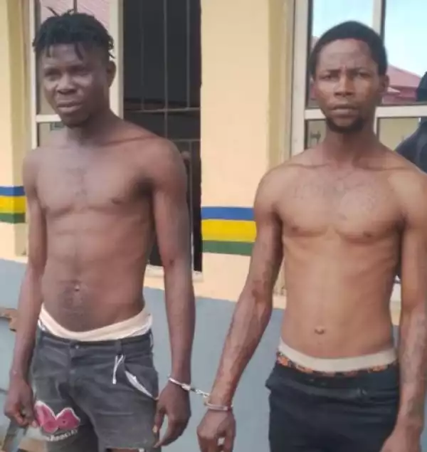 Two suspects arrested as police avert cultists induced blood bathe in Ogun community
