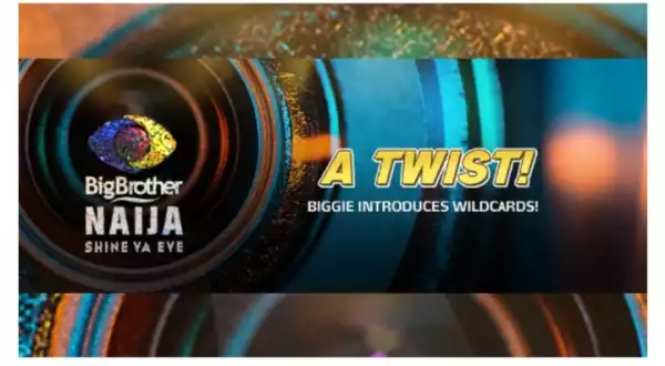 Fake Housemates: 5 Things To Know About BBNaija’s Wildcard Twist