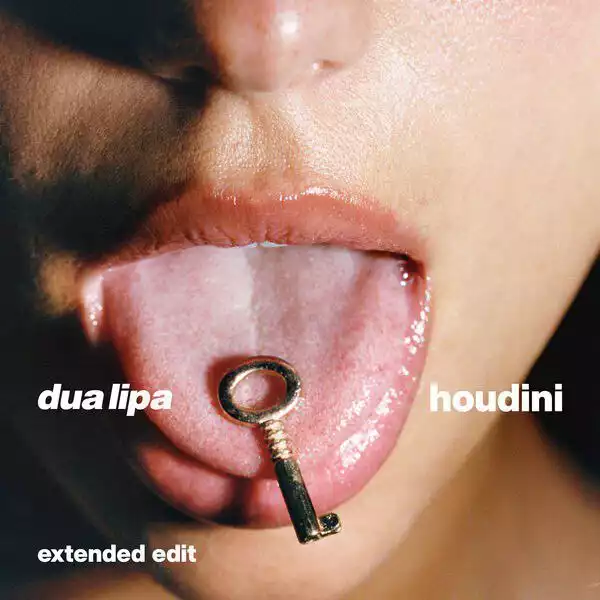 Dua Lipa – Houdini (Extended Edit)
