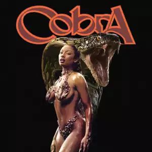 Megan Thee Stallion – Cobra