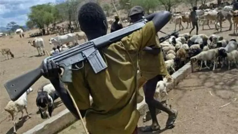 Armed herders kill Catechist, wife, five others in Benue