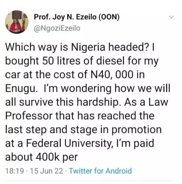 Law Professor Bitterly Laments About The State Of Nigeria