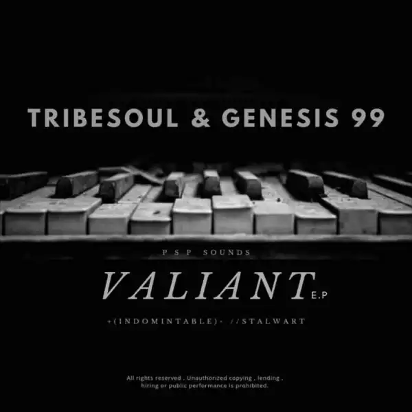 Tribesoul & Genesis 99 – Ndugu ft. Housexcape