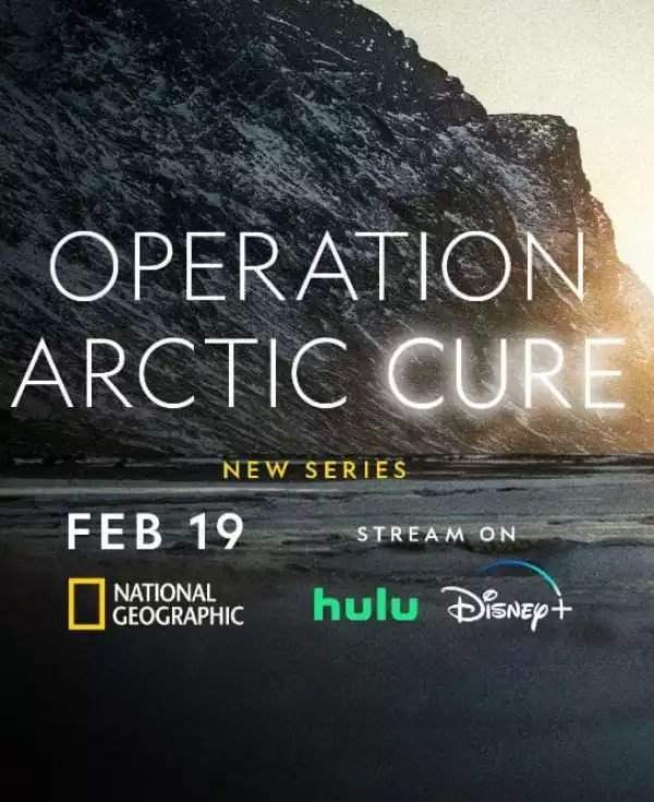 Operation Arctic Cure (2024)