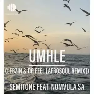 Semitone, Nomvula SA – Umhle (Lebzin & Dr Feel AfroSoul Remix) (Radio Edit)