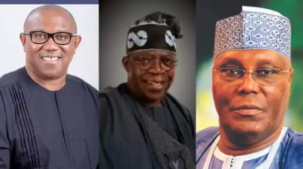 How outcome of 2023 elections could affect return home plans –Nigerians in Diaspora share expectations