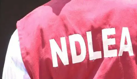 Illicit Drugs: NDLEA nabs Ex-Boko Haram fighter, traditional ruler, 35 others